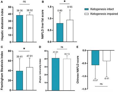 Impaired ketogenesis is associated with metabolic-associated fatty liver disease in subjects with type 2 diabetes